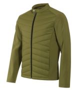 avocado green