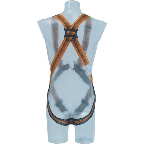 Harness ARG 30 EN361