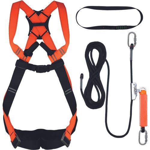 CERVA FS SET roofs and ladders