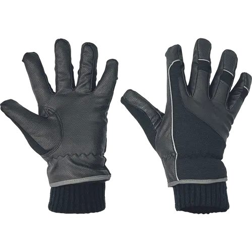 ATRA winter
